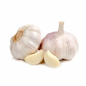 Garlic Bag China 2.5kg