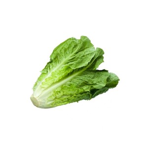 Lettuce 6kg (Kass)